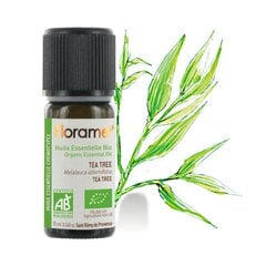 Arbatmedžio eterinis aliejus Florame, 10 ml цена и информация | Эфирные, косметические масла, гидролаты | pigu.lt