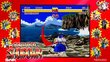 PS4 Samurai Shodown: Neogeo Collection kaina ir informacija | Kompiuteriniai žaidimai | pigu.lt