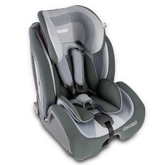 Automobilinė kėdutė su ISOFIX, RICOKIDS, 9-36kg, grey/black kaina ir informacija | Autokėdutės | pigu.lt