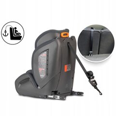 Automobilinė kėdutė su ISOFIX, RICOKIDS, 9-36kg, grey/black kaina ir informacija | Autokėdutės | pigu.lt