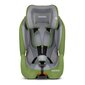 Automobilinė kėdutė Ricokids Qway, 9-36 kg, green kaina ir informacija | Autokėdutės | pigu.lt