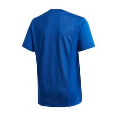 Adidas marškinėliai berniukams JR TR Linear Tee Jr EI7966 цена и информация | Рубашки для мальчиков | pigu.lt