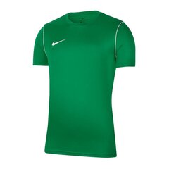 Футболка для мальчиков Nike Park 20 Jr BV6905-302 цена и информация | Рубашки для мальчиков | pigu.lt