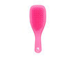Plaukų šepetys Tangle Teezer Mini Wet Detangler, Pink kaina ir informacija | Šepečiai, šukos, žirklės | pigu.lt