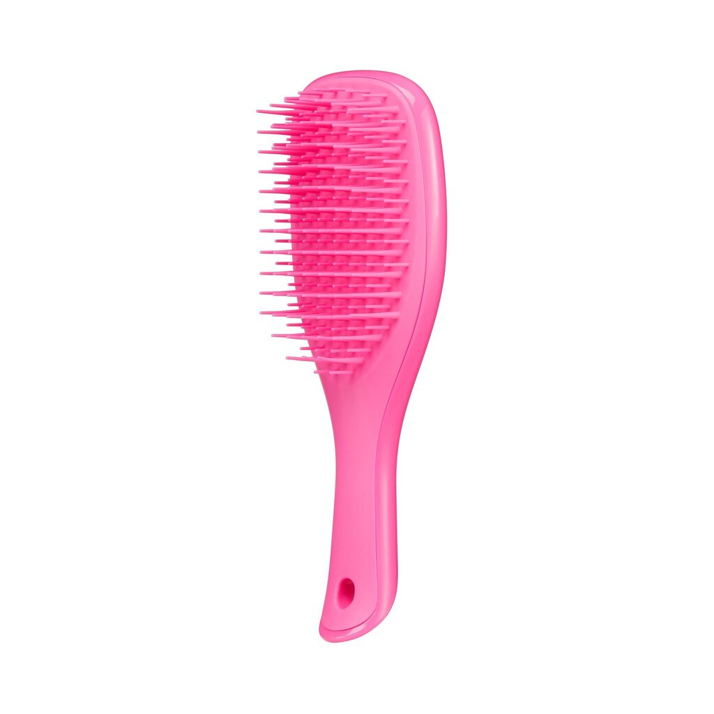 Plaukų šepetys Tangle Teezer Mini Wet Detangler, Pink kaina ir informacija | Šepečiai, šukos, žirklės | pigu.lt