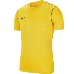 Мужская футболка Nike Dry Park 20 Top SS M, желтая цена и информация | Мужские термобрюки, темно-синие, SMA61007 | pigu.lt