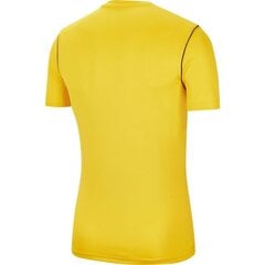 Мужская футболка Nike Dry Park 20 Top SS M, желтая цена и информация | Мужская спортивная одежда | pigu.lt