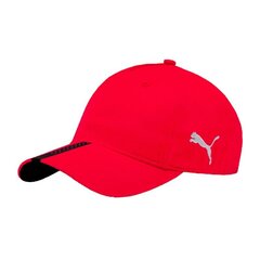 Шапка, красный цвет цена и информация | Женские шапки | pigu.lt