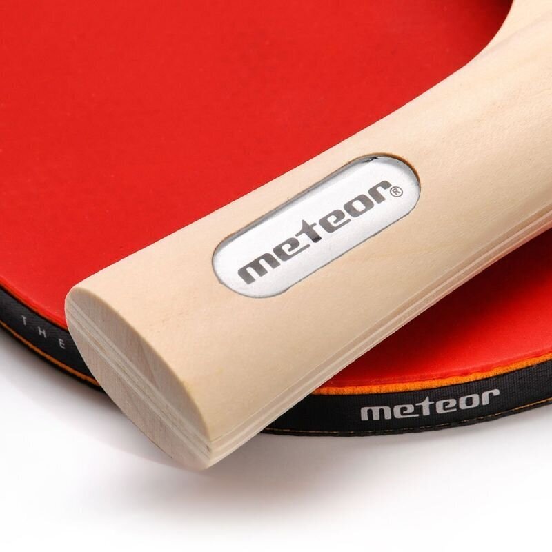 Stalo teniso rinkinys Meteor 15029 kaina ir informacija | Stalo teniso raketės, dėklai ir rinkiniai | pigu.lt