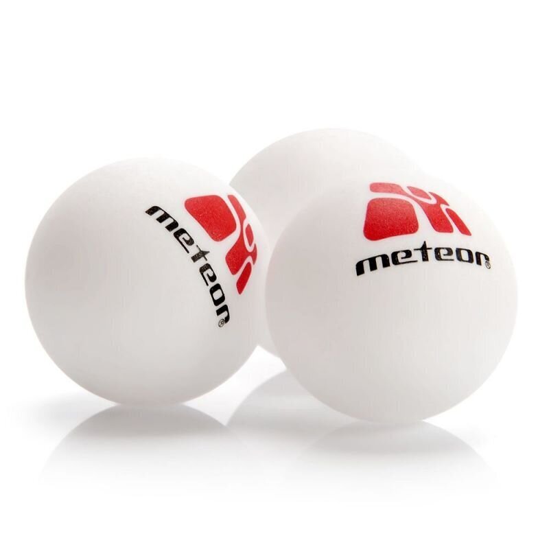 Stalo teniso rinkinys Meteor 15029 kaina ir informacija | Stalo teniso raketės, dėklai ir rinkiniai | pigu.lt
