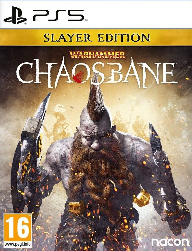 PS5 Warhammer: Chaosbane Slayer Edition цена и информация | Kompiuteriniai žaidimai | pigu.lt