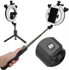 Hallo Vlogging Tripod P40D1 Селфи штатив с LED лампой и пультом управления цена и информация | Моноподы для селфи («Selfie sticks») | pigu.lt