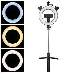 Hallo Vlogging Tripod P40D3 Селфи штатив с LED лампой и пультом управления цена и информация | Моноподы для селфи («Selfie sticks») | pigu.lt