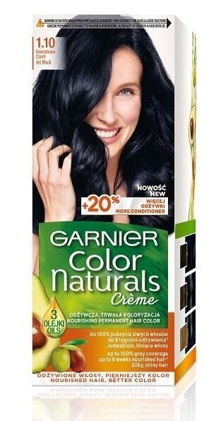 Ilgalaikiai plaukų dažai Garnier Color Naturals, Jet Black цена и информация | Plaukų dažai | pigu.lt