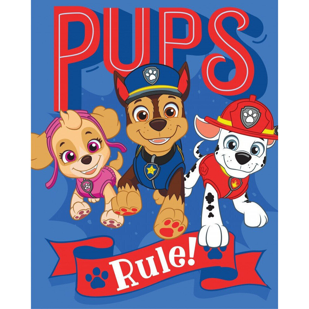 Paw Patrol vaikiškas pledas, 130x170 cm kaina ir informacija | Lovatiesės ir pledai | pigu.lt