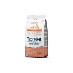 Monge Spec.. Сухой корм Line с лососем и рисом для взрослых собак всех пород, 2,5 кг цена и информация |  Сухой корм для собак | pigu.lt