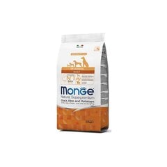 Monge Spec.. Сухой корм Line с уткой, рисом и картофелем для взрослых собак всех пород, 12 кг цена и информация |  Сухой корм для собак | pigu.lt