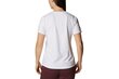 Marškinėliai moterims Columbia Sun Trek W Graphic Tee 1931753101, balti цена и информация | Marškinėliai moterims | pigu.lt