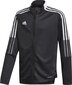 Vikiškas džemperis Adidas Tiro 21 Junior GM7314, juodas kaina ir informacija | Futbolo apranga ir kitos prekės | pigu.lt