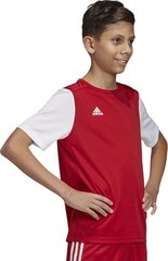 Futbolo marškinėliai Adidas ESTRO 19 JSY, raudoni, 164cm kaina ir informacija | Futbolo apranga ir kitos prekės | pigu.lt