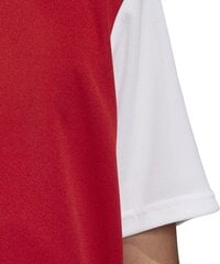 Futbolo marškinėliai Adidas ESTRO 19 JSY, raudoni, 164cm kaina ir informacija | Futbolo apranga ir kitos prekės | pigu.lt
