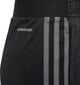 3/4 Adidas Tiro kelnės vaikams, 176 cm kaina ir informacija | Futbolo apranga ir kitos prekės | pigu.lt