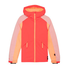 Горнолыжная курткадля мальчиков O´Neill PB MAGNATITE цена и информация | Куртка для мальчика | pigu.lt