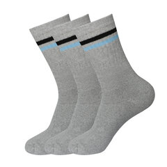 Спортивные носки в комплекте 3 пары Bisoks 11011k l.grey/2 stripes black/light blue цена и информация | Мужские носки | pigu.lt