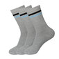 Sportin vyriškos kojinės Bisoks 3P 11011k l.grey/2 stripes black/light blue kaina ir informacija | Vyriškos kojinės | pigu.lt