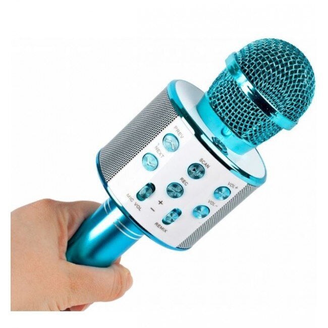 Karaokė mikrofonas su balso keitimo efektais kaina ir informacija | Lavinamieji žaislai | pigu.lt
