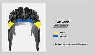 Dviračio padanga MTB Chaoyang H-5234 Phantom Dry 29x2.20, 60TPI Tubeless Ready kaina ir informacija | Dviračių kameros ir padangos | pigu.lt