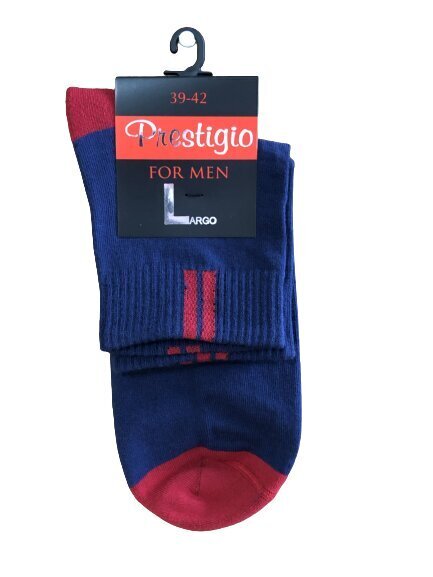 Vyriškos sportinės kilpinės kojinės, mėlynos kaina ir informacija | Vyriškos kojinės | pigu.lt