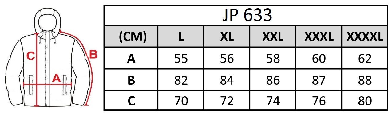 Striukė vyrams JP 633, raudona kaina ir informacija | Vyriškos striukės | pigu.lt