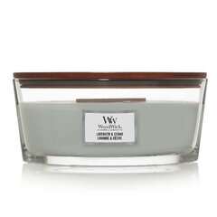 WoodWick ароматическая свеча Lavender & Cedar, 453,6 г цена и информация | Подсвечники, свечи | pigu.lt