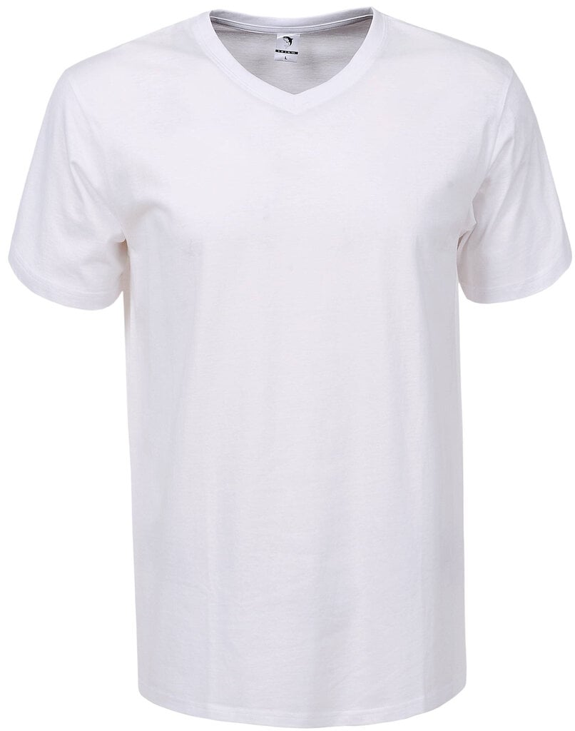 Marškinėliai vyrams Glo Story White, balti цена и информация | Vyriški marškinėliai | pigu.lt