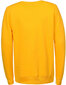 Džemperis vyrams Glo Story Yellow, geltonas kaina ir informacija | Džemperiai vyrams | pigu.lt