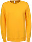 Džemperis vyrams Glo Story Yellow, geltonas kaina ir informacija | Džemperiai vyrams | pigu.lt
