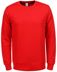 Džemperis vyrams Glo Story Red, raudonas kaina ir informacija | Džemperiai vyrams | pigu.lt