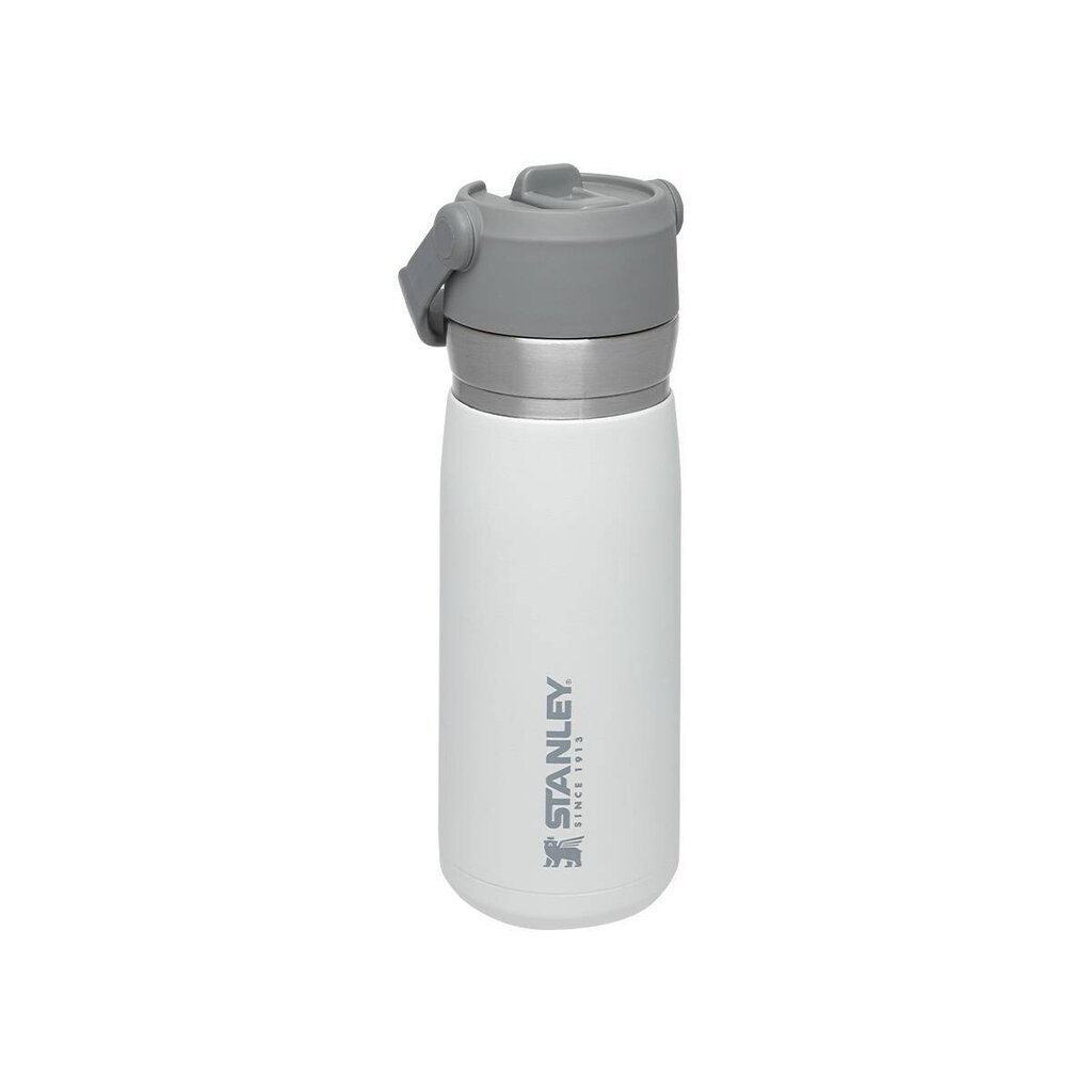 Stanley termo butelis su šiaudeliu The IceFlow Flip Straw Water Bottle Go, 0.65 l, baltas kaina ir informacija | Termosai, termopuodeliai | pigu.lt