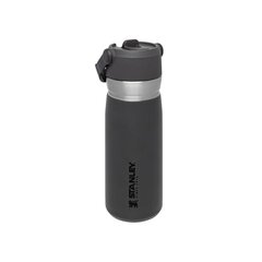 Термобутылка с трубочкой The IceFlow Flip Straw Water Bottle Go 0,65 л, серая цена и информация | Термосы, термокружки | pigu.lt