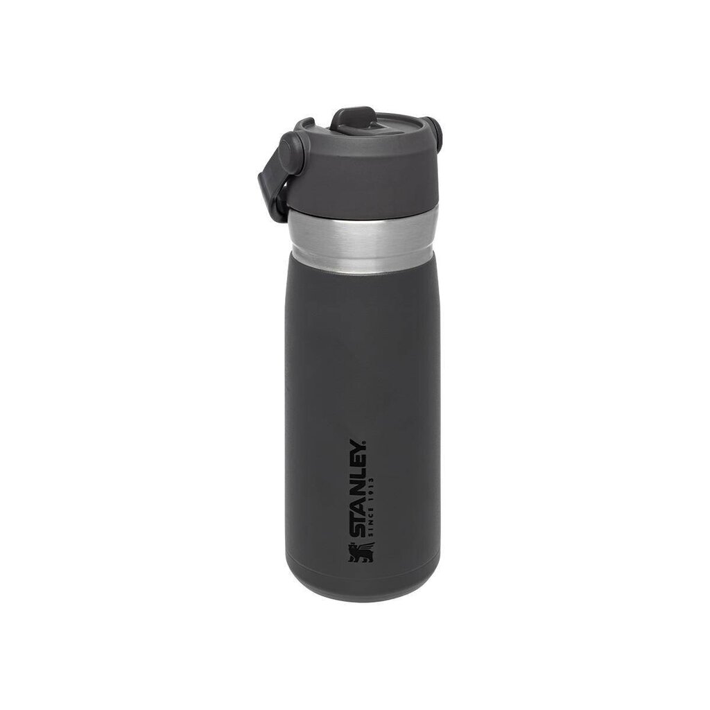 Stanley termo butelis su šiaudeliu The IceFlow Flip Straw Water Bottle Go, 0.65 l, pilkas kaina ir informacija | Termosai, termopuodeliai | pigu.lt