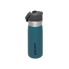 Stanley termo butelis su šiaudeliu The IceFlow Flip Straw Water Bottle Go, 0.65 l, mėlynas kaina ir informacija | Termosai, termopuodeliai | pigu.lt