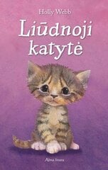 Liūdnoji katytė kaina ir informacija | Knygos vaikams | pigu.lt