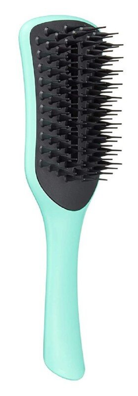 Plaukų džiovinimo šepetys Tangle Teezer Easy Dry & Go цена и информация | Šepečiai, šukos, žirklės | pigu.lt