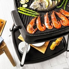 Elektrinė Kepsninė Cecotec PerfectCountry BBQ 2000W kaina ir informacija | Kepsninės, griliai | pigu.lt