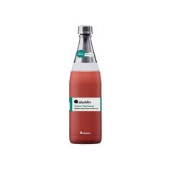 Бутылка-термос Fresco Thermavac Water Bottle 0,6 л, терракотовый цвет цена и информация | Фляга | pigu.lt