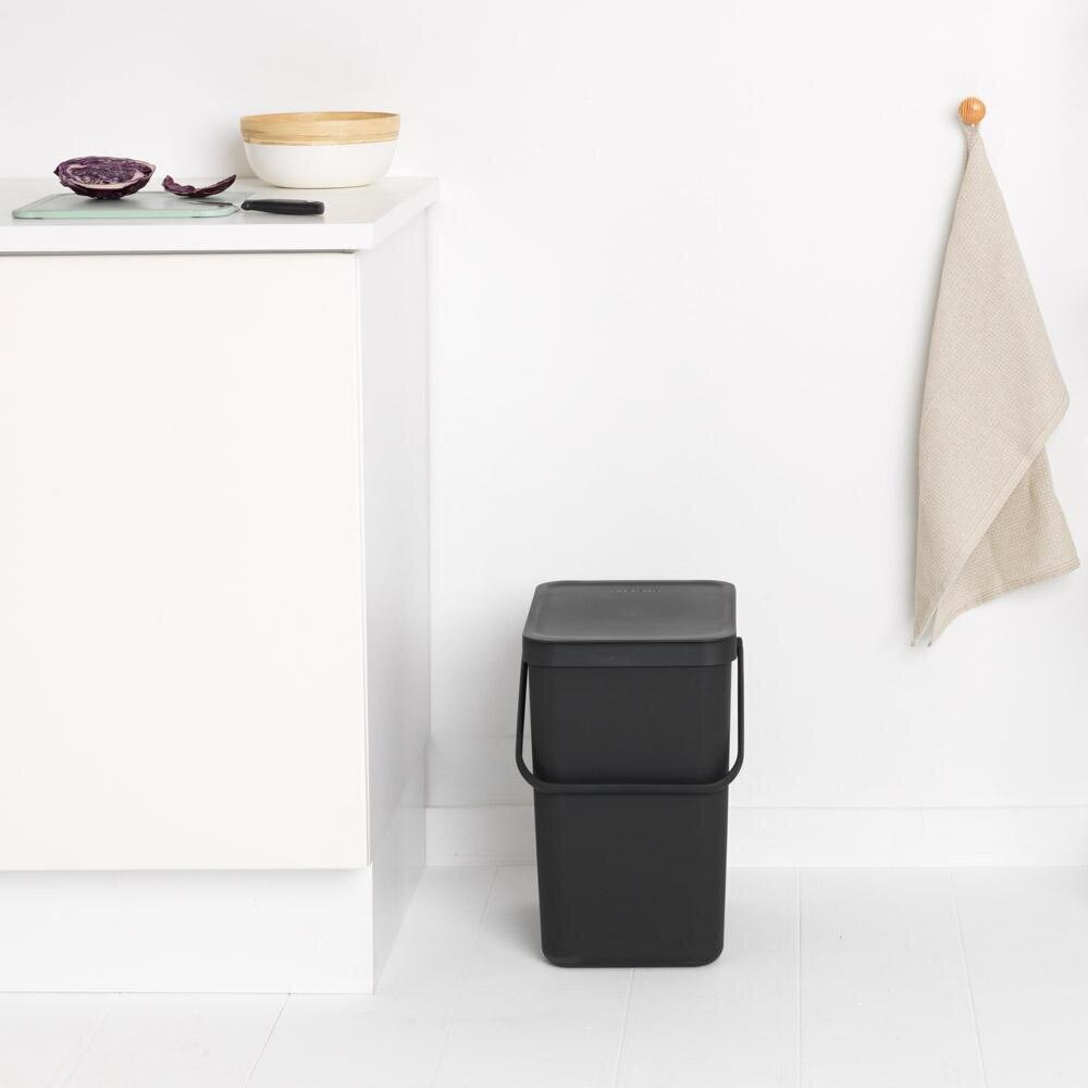 Brabantia šiukšliadėžė, 25 l, pilka цена и информация | Šiukšliadėžės | pigu.lt