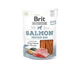 Brit Jerky Salmon Protein Bar Snack лакомство для собак 80г цена и информация | Лакомства для собак | pigu.lt