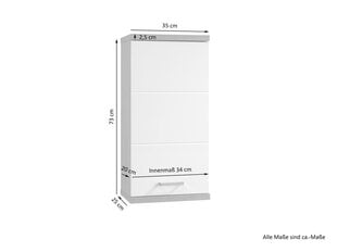 Nusa Sonoma Oak/White sieninė pakabinama spintelė kaina ir informacija | Vonios spintelės | pigu.lt
