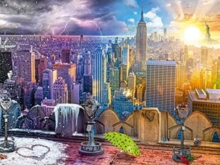 Головоломка Ravensburger День и ночь NYC панорама, 1500 д. цена и информация | Пазлы | pigu.lt